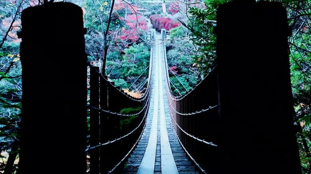 樅木の吊橋(しゃくなげ橋)吊り橋風景
「標高1,300m級の山々に囲まれた八代の秘境、五家荘。その最深部に位置する樅木の吊橋は、地元の杉や栗の木を使った温かみのある佇まいが魅力です。」
熊本県八代市泉町の秘境「五家荘（ごかのしょう）」
樅木（もみぎ）の吊橋
Momigi Suspension Bridge (Shakunage Bridge) - Suspension Bridge Scenery