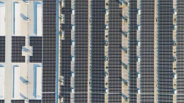 alternating strips dark solar panels light roof sections white skylights create sharp triangular shadows building clean geometric layout energy renewable power industrial 