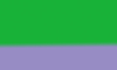 Obraz premium Vibrant green and purple background with contrasting color blocks