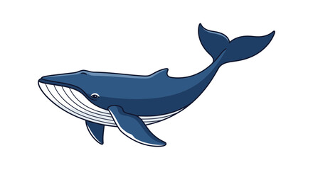 Blue Whale Swimming Illustration Isolated Vector Design Element for Marine Life Projects © Fajar