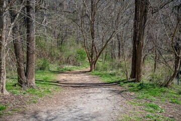 Obraz premium Asheville, north carolina