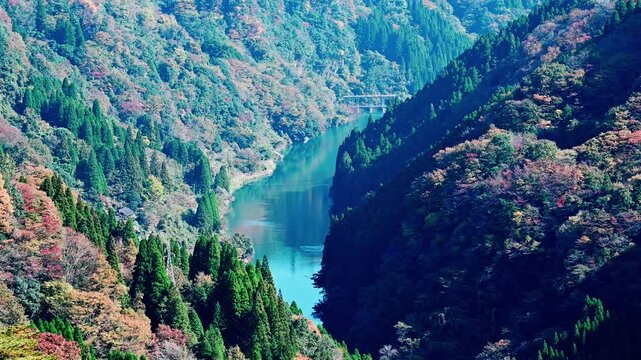 エメラルドの川面と燃える紅葉
「九州のグランドキャニオン、蘇陽峡を彩る秋の色彩」
熊本県上益城郡山都町長崎(長崎鼻展望台)
Emerald river surface and fiery autumn leaves
"The autumn colors that adorn Soyo Gorge, the Grand Canyon of Kyushu"