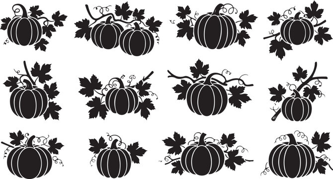 Black and white pumpkin patch illustration with leaves pattern