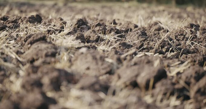 Freshly plowed soil in a field with visible straw covering
