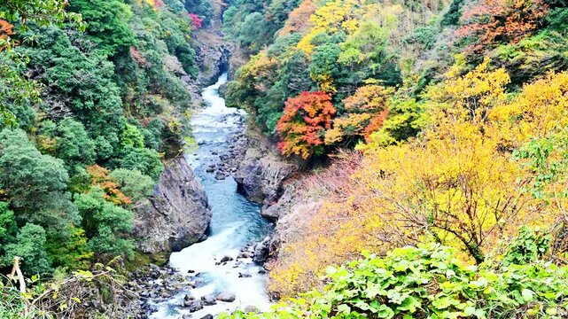  秋の彩りに包まれる高千穂峡、五ヶ瀬川の清流と断崖の絶景
「清らかなせせらぎと燃えるような紅葉。心洗われる、日本の原風景がここに。」
宮崎県高千穂峡
The clear waters of the Gokase River and the breathtaking scenery of towering cliffs