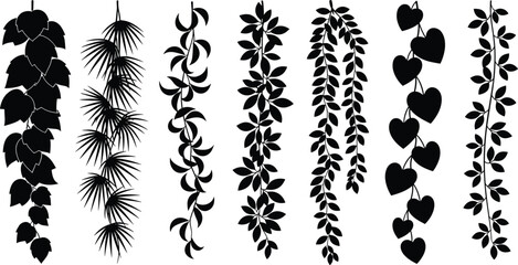 Black, silhouette, hanging, vines, collection, with, tropical, leaves, ivy, heart, shape, foliage, creeping, plants, isolated, on, white, background, vector, set. © Mehedi