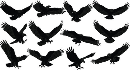 Obraz premium Eagle silhouette vector set, flying hawk collection, black predatory bird icons, soaring falcon shapes, isolated wildlife graphics on white background.
