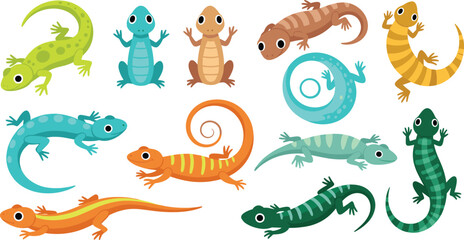 Naklejka premium Cute Gecko and Lizard Vector Illustration Set Featuring Colorful Reptiles in Different Crawling and Standing Poses for Wildlife Nature Graphics and Kids Designs.