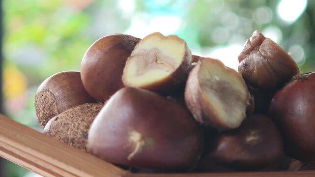 Roasted chestnuts in a container.