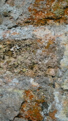 Detailed close-up of an old weathered concrete wall with rough texture, cracks, and orange moss stains