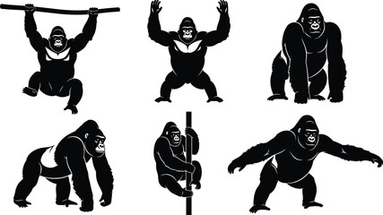 Black and white vector illustration set of powerful gorilla silhouettes in various poses including climbing, standing, and hanging, jungle wildlife primate collection (24 words) © Ashraful