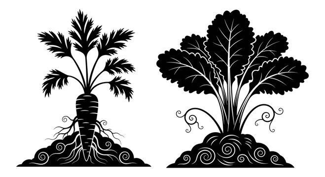 Contrasting botanical illustrations of root systems and leaf canopies in black and white art style Vector, illustration