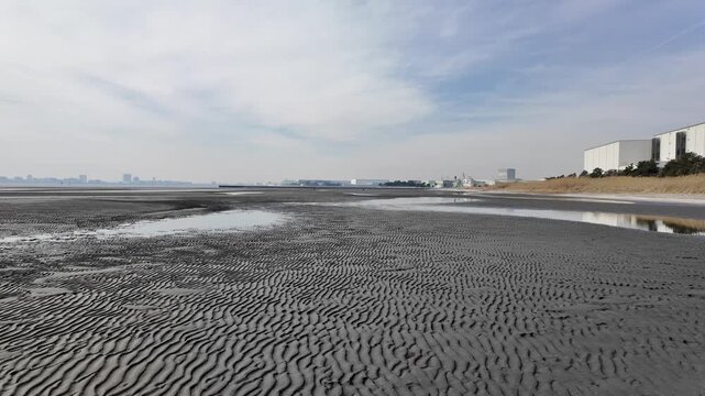 ふなばし三番瀬海浜公園