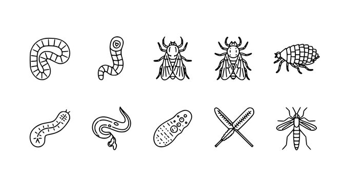 A set of black and white line art illustrations of various insects and parasites, including worms, fleas, and bacteria.