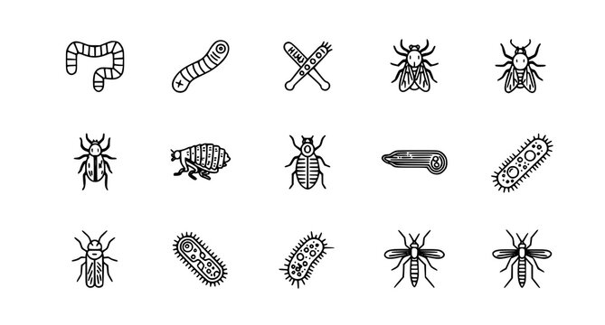 A set of black and white vector illustrations of various insects and microorganisms