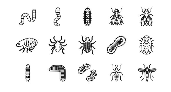 A set of black and white line art illustrations of various insects and microorganisms