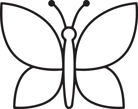 dragonfly on a white background