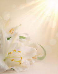 Fototapeta premium Beautiful Easter Sunday Background with Cross, Spring Flowers and Sunrise Light – Christian Resurrection Celebration