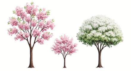 Naklejka premium Three trees with pink and white blossoms on a white background
