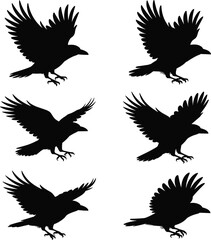 Obraz premium Bird flight silhouettes, crow raven, flying motion, wings spread, avian posture, wildlife illustration, nature concept, dynamic movement, artistic design, black silhouette