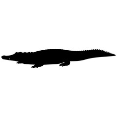 Fototapeta premium Realistic crocodile silhouette on dark gradient background minimalist logo design