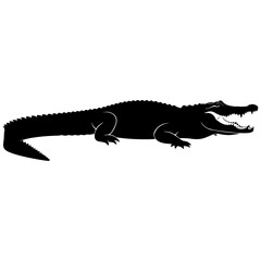 Obraz premium Realistic alligator silhouette black and white vector illustration isolated on transparent background