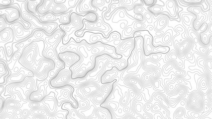 abstract height lines on white background ,vector Topographic map background. geographic line map with elevation assignments.   © Mst