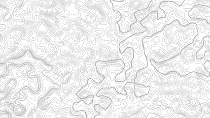Obraz premium Topography background. Vector banner. Topographic map abstract height lines on white background ,vector 