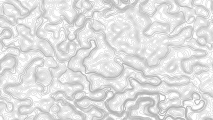 Topographic map background. geographic line map with elevation assignments. Modern design background with wavy pattern. Paper texture Imitation of a geographical map shades. © Mst