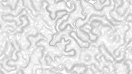 Topography background. Vector banner. Topography map background. Topographic map background. geographic line map with elevation assignments.  © Mst