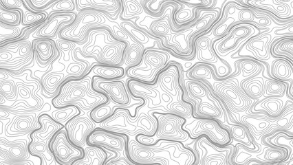 Topography background. Vector banner. Topography map background. Topographic map background. geographic line map with elevation assignments.  © Mst