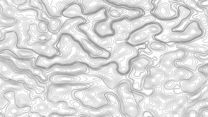 Vector geographic contour map. Background of the topographic map. Topographic map lines, contour background.  © Mst