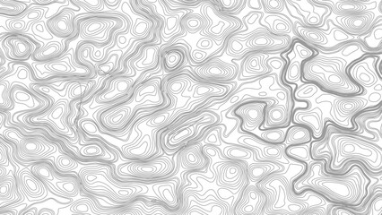 Topography background. Vector banner. Topography map background. Vector geographic contour map. Background of the topographic map. © Mst