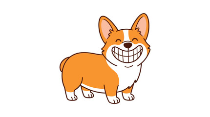 Fototapeta premium Corgi with big smile stands on white background
