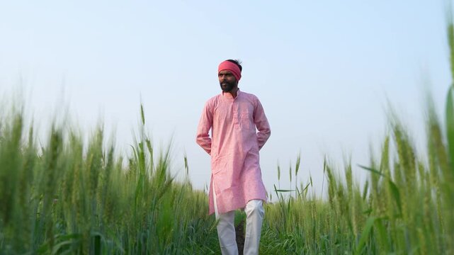 Young indian farmer standing at wheat agriculture field	