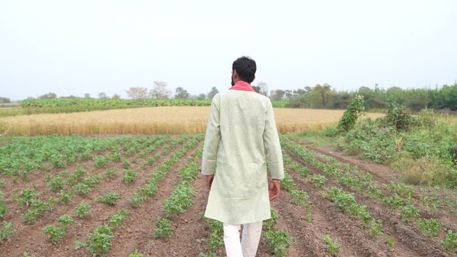 happy young indian farmer standing at green groundnut or peanut agriculture farm