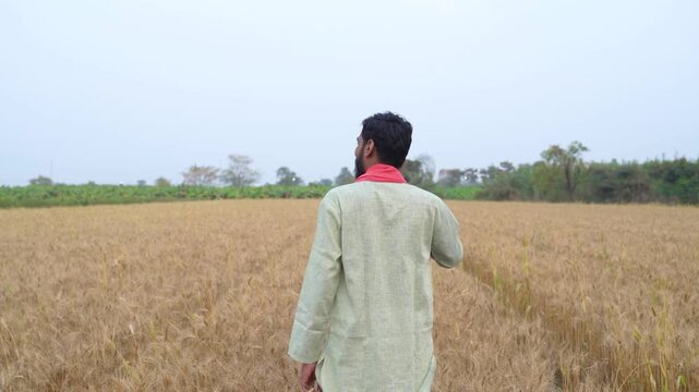 Young indian farmer standing at wheat agriculture field	
