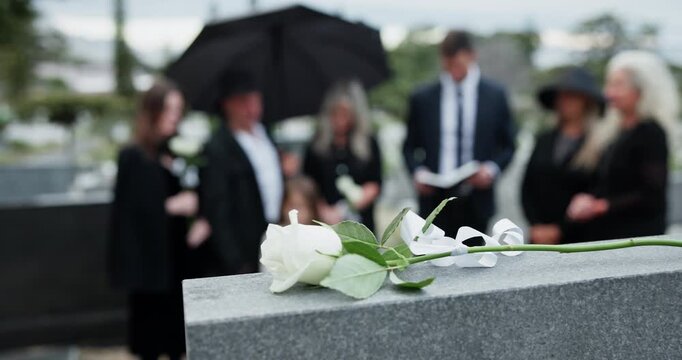Rose, family and funeral officiant by tomb at cemetery, graveyard or outdoor for farewell. Pastor, people and together for grief, death and respect while reading bible for eulogy, flower and loss