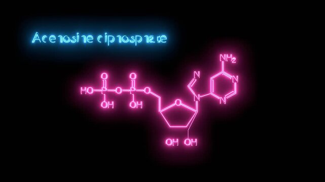 ADP or adenosine diphosphate molecular structure. DNA and RNA building block consisting of nitrogenous base, sugar and phosphate. Neon glowing.