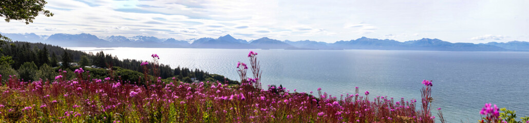 Fototapeta premium Flowers next to water in Alaska