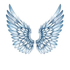 Obraz premium Elegant Blue White Angelic Feathered Wings Isolated Design