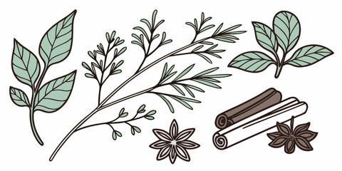 A beautiful illustration of a cinnamon stick surrounded by leaves and berries © AC