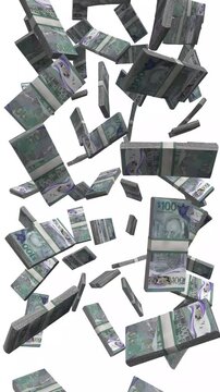 Vertical Barbados Money, Falling BBD Banknotes, Cash Stacks Isolated on White, 4K