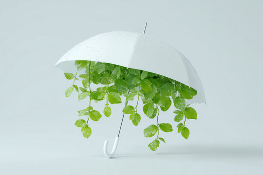 White umbrella protecting green plants concept