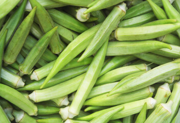 Fototapeta premium Fresh okra vegetables close up as background 