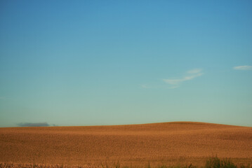 Fototapeta premium Landscape, farm and field with crops on hill with horizon, sky and space with food production in summer. Outdoor, environment and clouds in nature with sustainability for agriculture in countryside