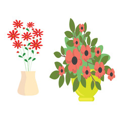 Beautiful houseplant for interior decoration © Saima