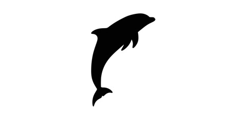 Black dolphin jumping out water. © LAILATUS