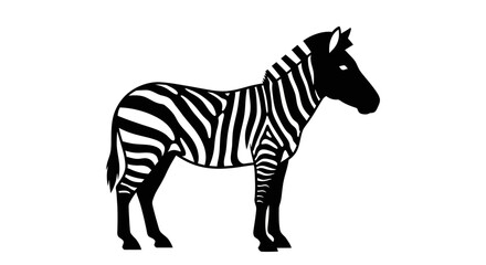 Black and white zebra standing still. © M FAIZAL