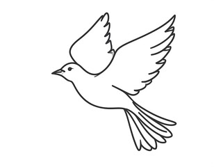 Obraz premium Black and white line drawing of a flying bird, possibly a dove. Simple design with outstretched wings, soaring on a white background